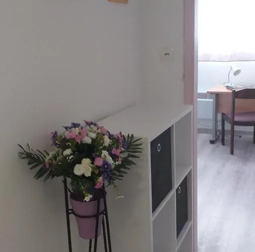 Plavo Apartman Zadar